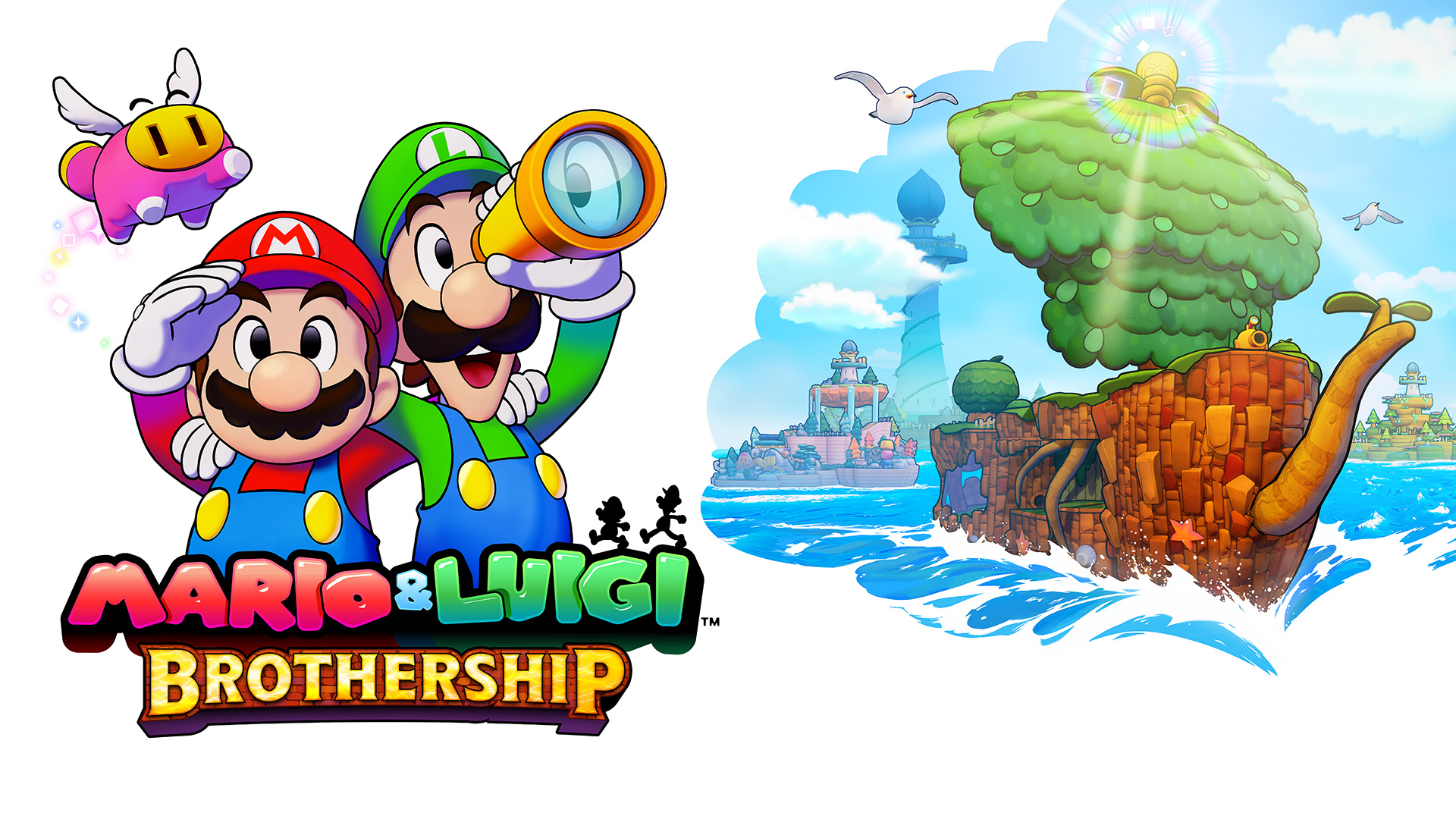 MARIO & LUIGI: CONEXIÓN FRATERNAL