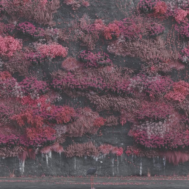 Sleep Token - Even in Arcadia - Album cover