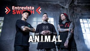 Entrevista ANIMAL